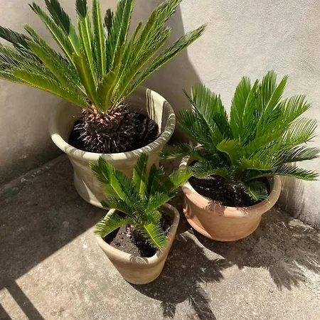 Tranquilla Casa vacanze *