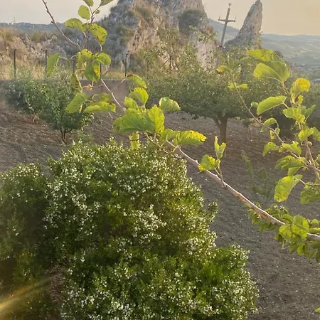 Tranquilla Agrigento