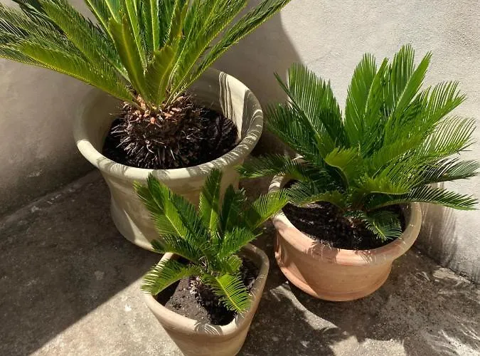 Tranquilla Nyaraló *