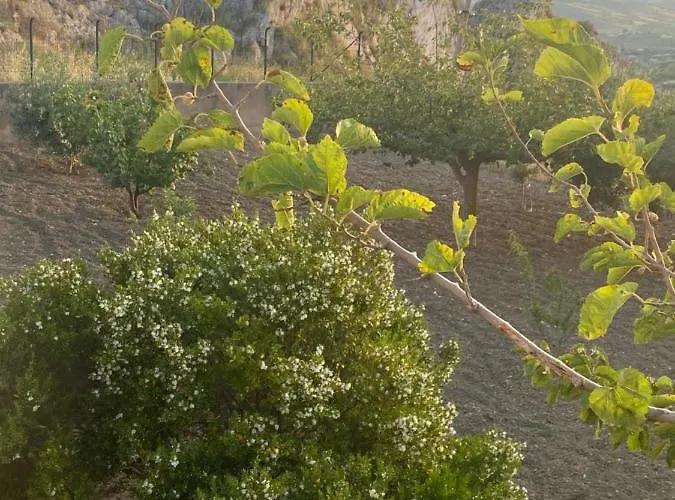 Tranquilla Agrigento